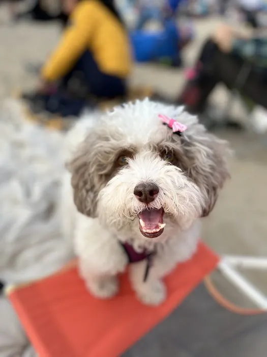 Please see UCC Picture 3