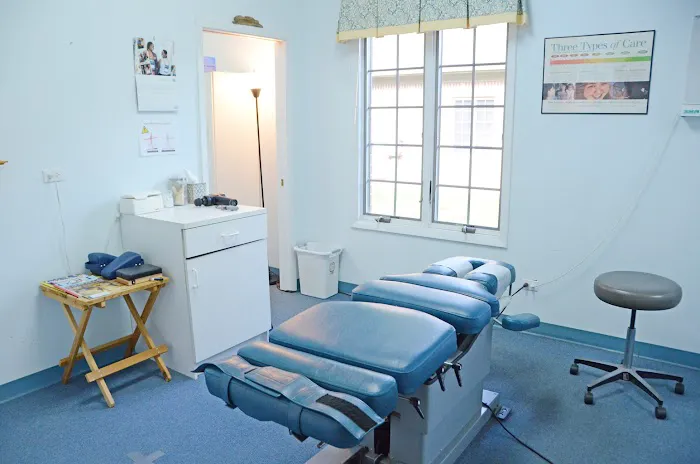 Holistic Health & Chiropractic of Frankfort Picture 6