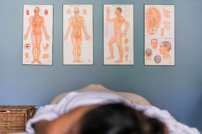 Brambert Chiropractic and Acupuncture, Ltd. Picture 6