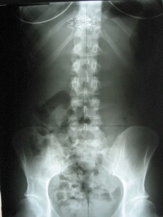 Blake Schaffnit, D.C. Picture 7