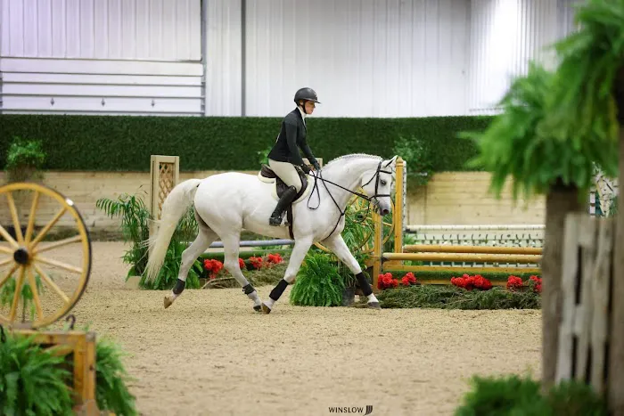 Evolve Chiropractic of Schaumburg Picture 1