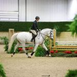 Evolve Chiropractic of Schaumburg