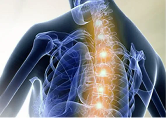 Talsky Tonal Chiropractic Wellness Center Picture 1