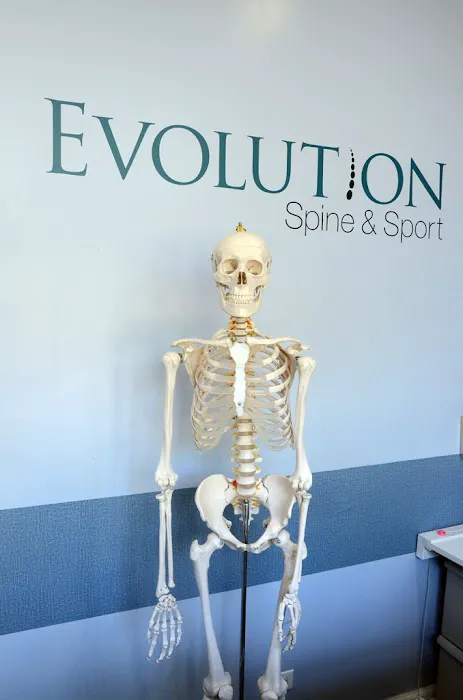Evolution Spine & Sports Therapy, LLC Picture 6