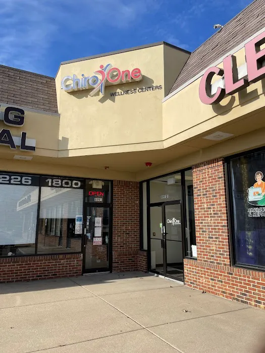 Chiro One Chiropractic & Wellness Center of Bolingbrook Picture 5