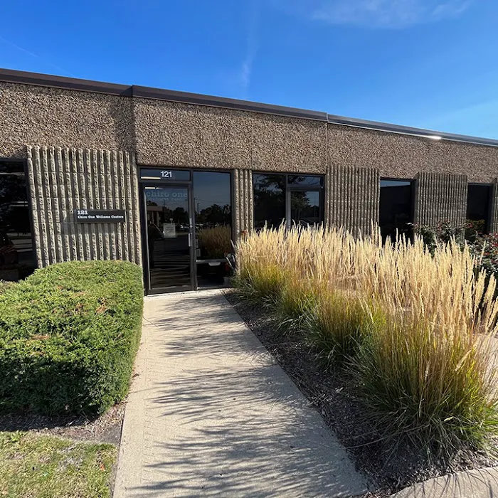 Chiro One Chiropractic & Wellness Center of Schaumburg East Picture 9