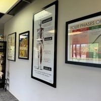 Barone Spinal Care ico