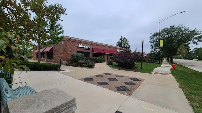 Chiro One Chiropractic & Wellness Center of Schaumburg West Picture 6