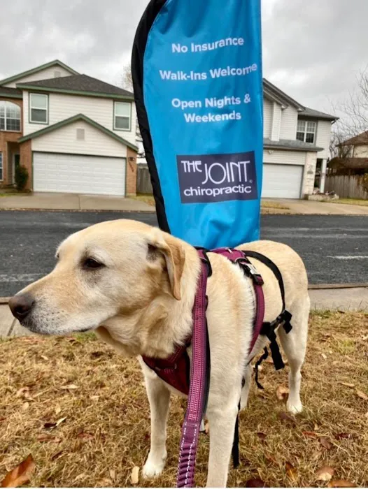 The Joint Chiropractic Picture 2