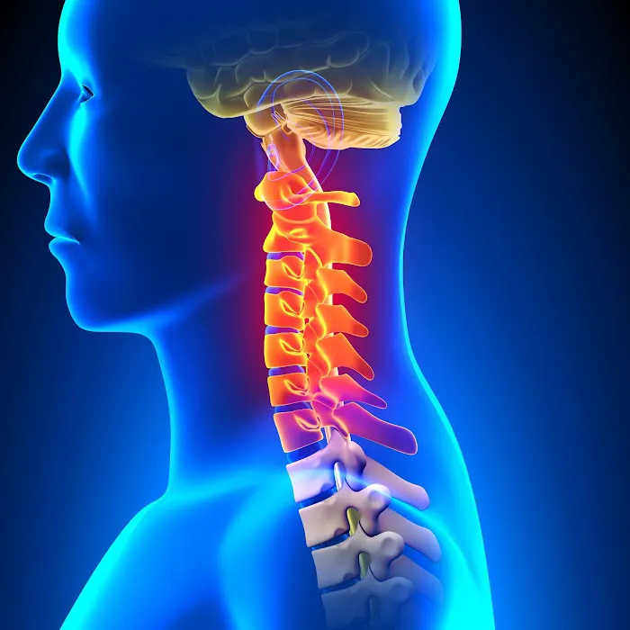 Head and Neck Spinal Care Picture 2