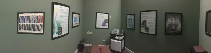 The Chiropractic Place of Naperville Picture 1
