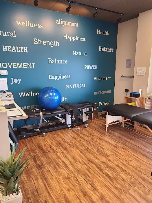 Evolve Chiropractic of Naperville Picture 8