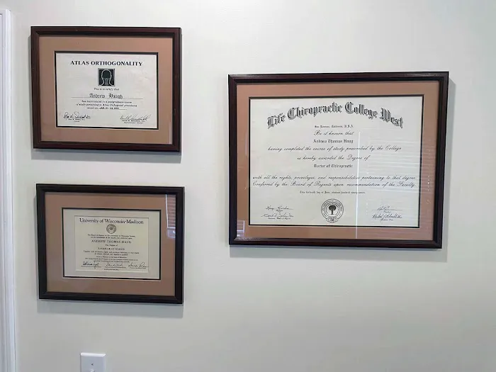 Haug Chiropractic Picture 2