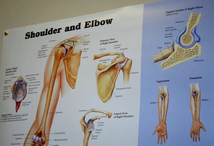 Back & Joint Rehab Center Picture 7