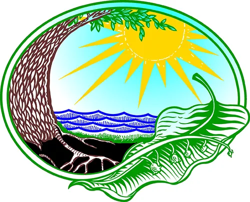 Complete Chiropractic Care Picture 1