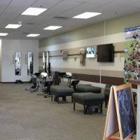Chiro One Chiropractic & Wellness Center of Bloomingdale ico