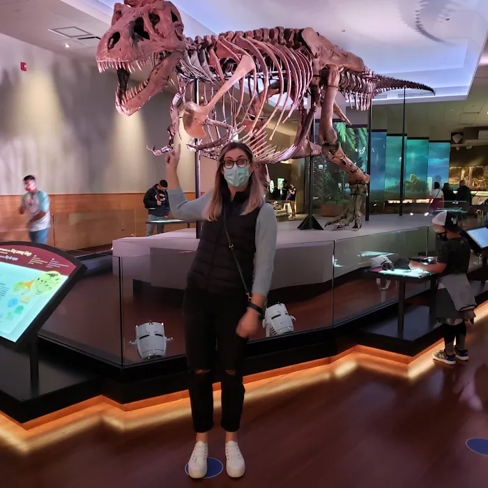 The Joint Chiropractic Picture 9