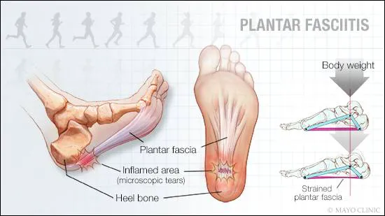 McNulty Chiropractic Picture 3