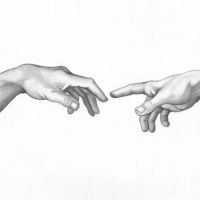 Light Touch Chiropractic ico