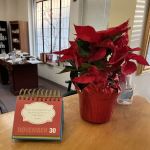 The Chiropractic, Acupuncture and Herbal Medicine Center