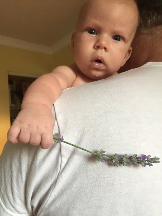 Superczynski Family Chiropractic, Ltd Picture 1