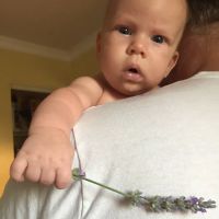 Superczynski Family Chiropractic, Ltd ico