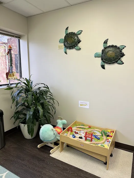 Scholz Chiropractic and Wellness Picture 4