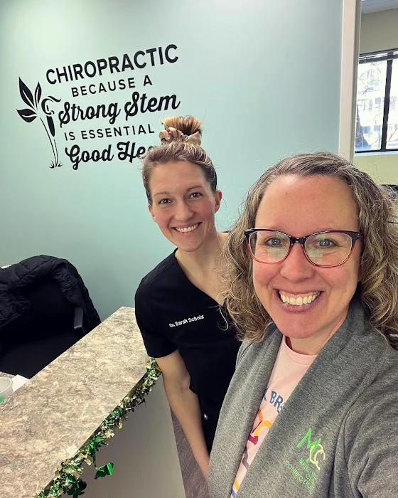 Scholz Chiropractic and Wellness Picture 2