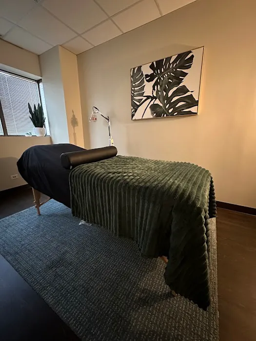 Scholz Chiropractic and Wellness Picture 10