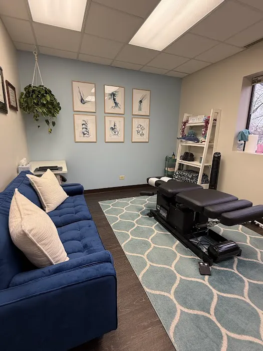 Scholz Chiropractic and Wellness Picture 5