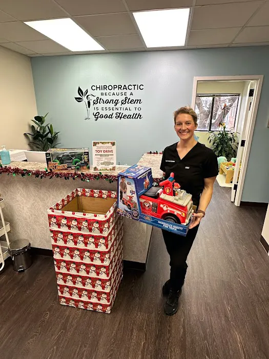 Scholz Chiropractic and Wellness Picture 8