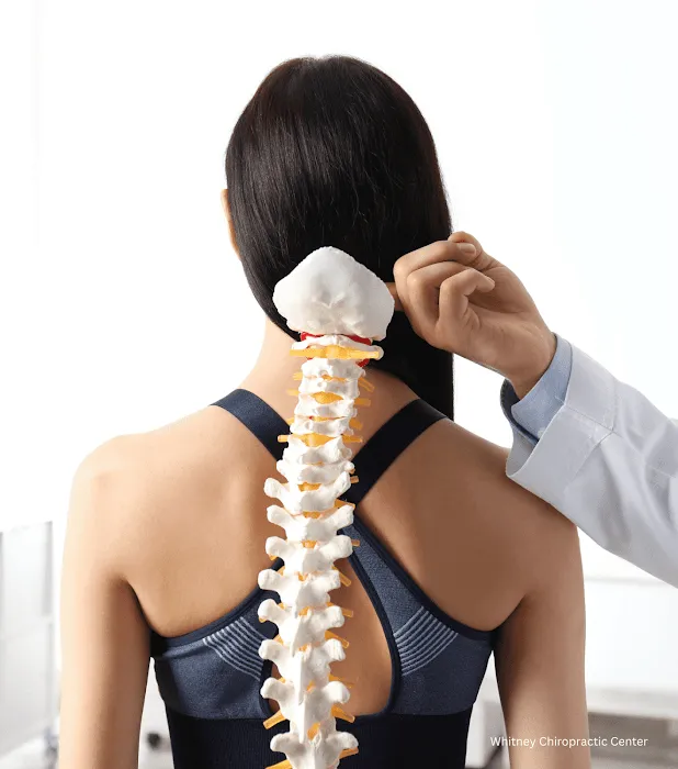 Whitney Chiropractic Center of Naperville Picture 9