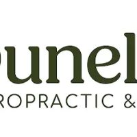 Duneland Chiropractic & Wellness ico