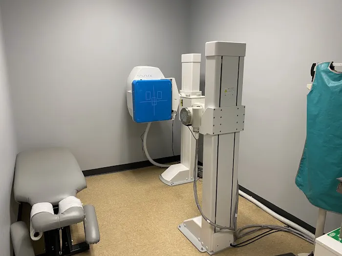 Olympia Chiropractic & Physical Therapy - Bartlett Picture 6