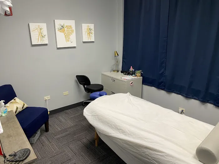 Olympia Chiropractic & Physical Therapy - Bartlett Picture 7