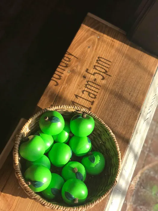 Aligned Modern Health Picture 1