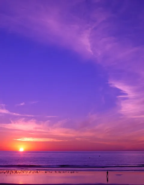 Stern Chiropractic Picture 7