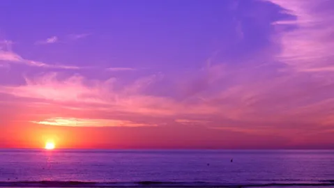 Stern Chiropractic Picture 6