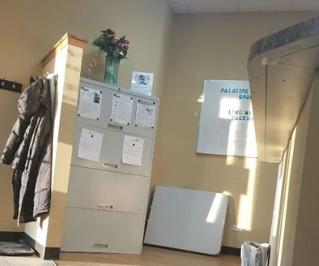 Palatine Wellness and Pain