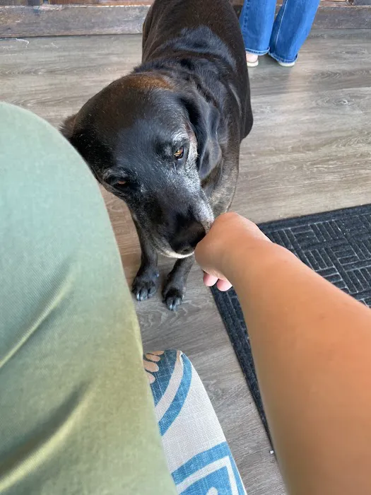 John D. Cress, DC Picture 1