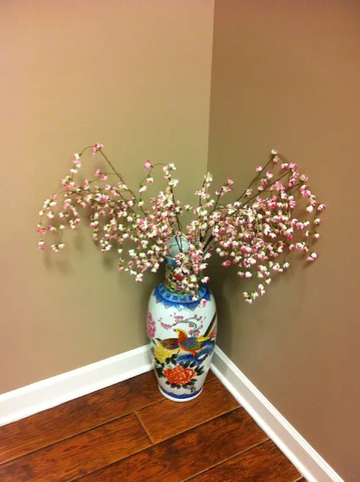 Nexpert Chiropractic & Physical Therapy - Dr. Andre Pisarev Picture 1