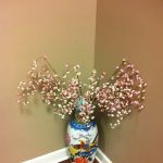 Nexpert Chiropractic & Physical Therapy - Dr. Andre Pisarev