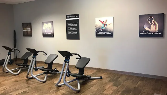 The Wellness Evolution Picture 1