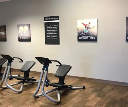 The Wellness Evolution