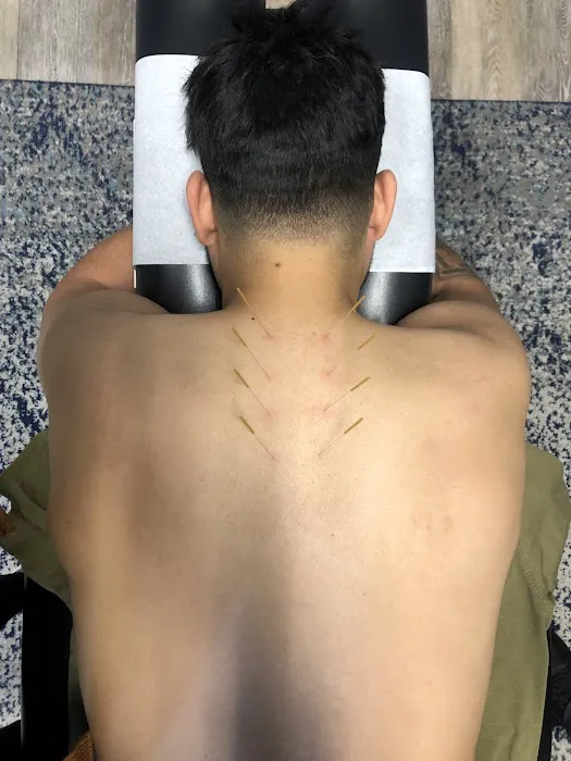 Foundation Chiropractic and Wellness Picture 6