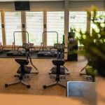 Back to Health Chiropractic