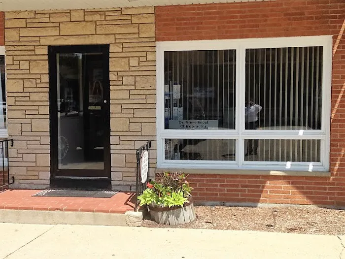 Dr. Steve Segal Picture 5