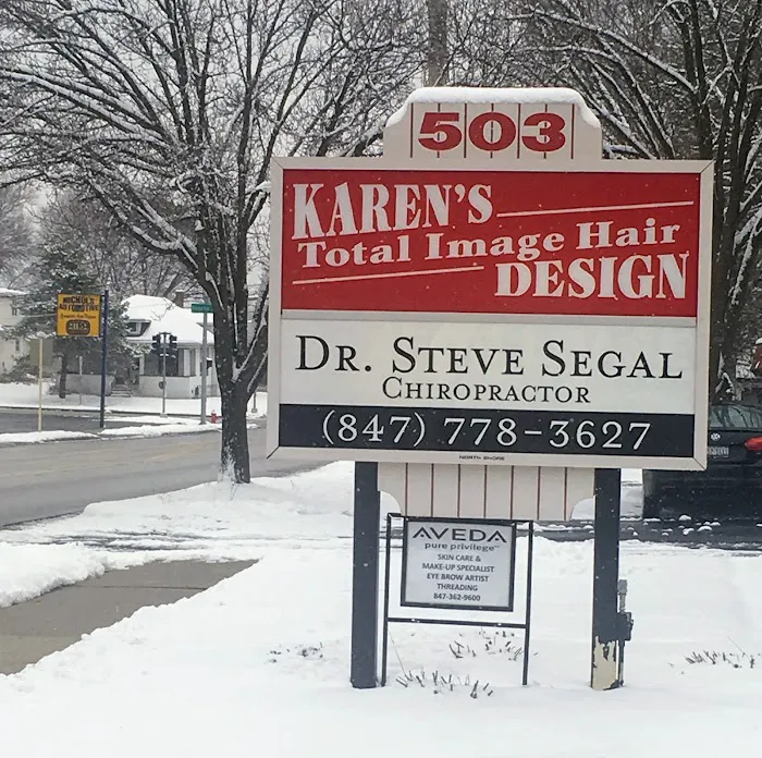 Dr. Steve Segal Picture 1