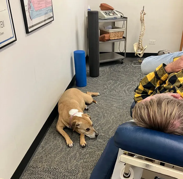 Dr. Steve Segal Picture 6