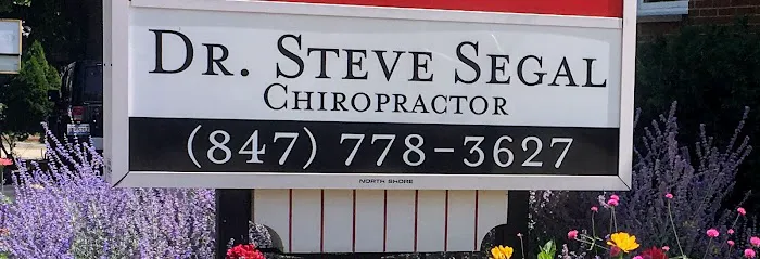 Dr. Steve Segal Picture 10